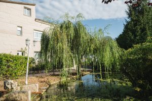 Estanque en el jardín