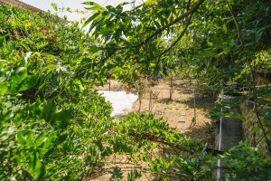 CASA ESCAIRÓN_01-057 copia VERDE Y COLUMPIOS